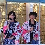 「たまゆら」舞台の広島県竹原市で4年目の「ももねこ様祭り」開催