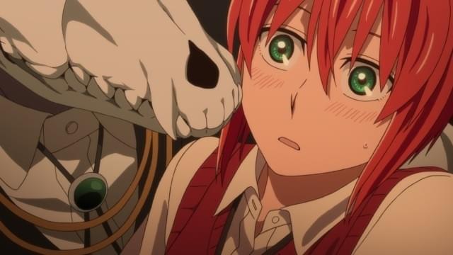 アニメ「魔法使いの嫁」は原作の前日譚！ビジュアル＆予告編
