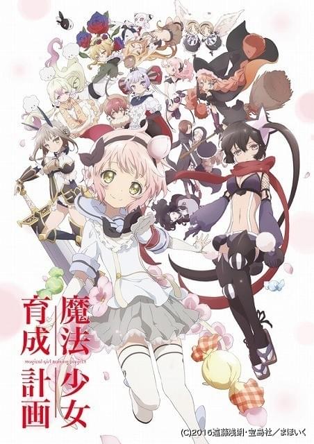 魔法少女育成計画 のキャラクタービジュアル公開 追加キャストで佐倉綾音らの出演も決定 ニュース アニメハック