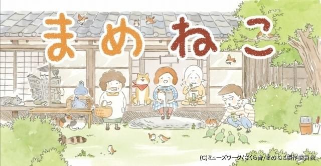 あずきとだいず、2匹の子猫の日常を描く「まめねこ」18年1月から