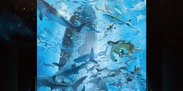 海獣の子供」予告編公開 久石譲が「かなりチャレンジした」音楽