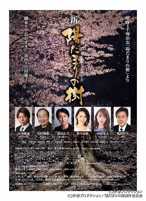 陽だまりの樹(八) [DVD]　(shin