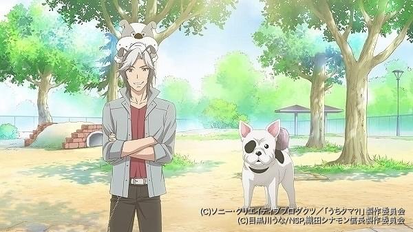うちタマ 織田シナモン信長 2匹のブルドッグキャラが出会うコラボムービー公開 ニュース アニメハック