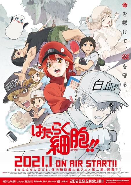 R⑪3 はたらく細胞 BLACK 白血球 女 剣 武器 最新 アニメ 2期の