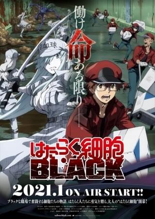 はたらく細胞black 21年にtvアニメ化 榎木淳弥 日笠陽子出演 ナレーションに津田健次郎 ニュース アニメハック