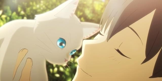 泣きたい私は猫をかぶる('20「泣きたい私は猫をかぶる」製作委員会) Amazon.co.jp: 泣きたい私は猫をかぶる Blu-ray : 志田未来