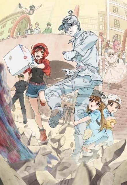 はたらく細胞 DVD 第1期 シーズン1 全7巻 全巻セット アニメ 全13話 