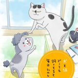 花澤香菜＆杉田智和が犬猫をコミカルに演じる「犬と猫どっちも飼ってると毎日たのしい」PV