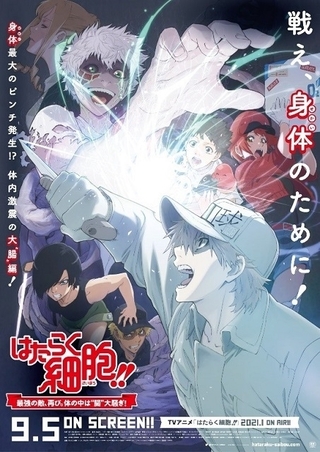 【週末アニメ映画ランキング】「ドラえもん」2位、「Fate/stay night [Heaven's Feel]」5位、「はたらく細胞!!」は10位発進