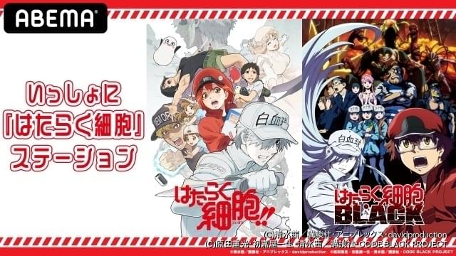 花澤香菜＆榎木淳弥が“一緒にはたらく” 「はたらく細胞