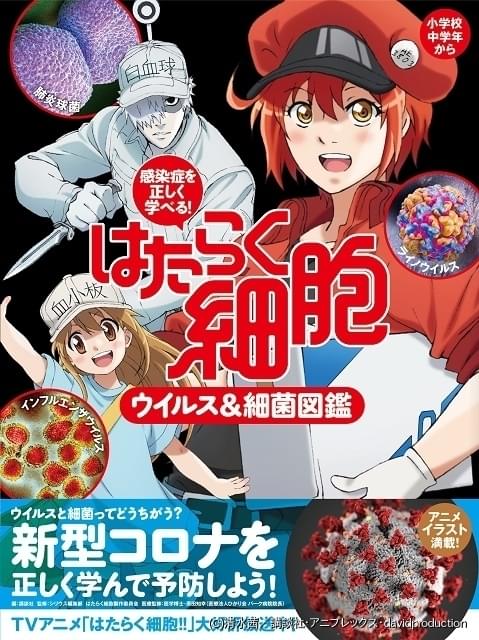 はたらく細胞 アニメイラストで感染症を学ぶ ウイルス 細菌図鑑が1月21日発売 ニュース アニメハック