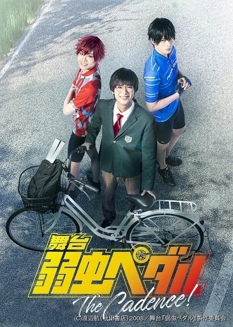 希少 DVD 「実写版 弱虫ペダル 全4巻 ＆ Season2 全5巻」 全9巻 DVD]弱虫ペダル DVD 弱虫ペダル オフィシャルグッズ フジテレビ