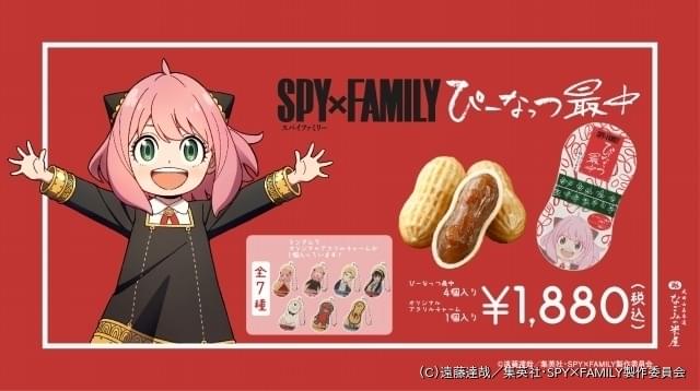 スパイファミリー　ナムコ限定　缶バッジ　アーニャ　ピーナッツ 原作イラスト！】アーニャ ピーナッツ SPY×FAMILY 缶バッジnamco
