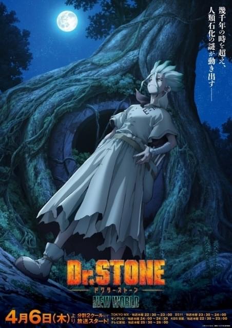 Dr.STONE NEW WORLD」メインビジュアル公開 ED主題歌はOKAMOTO'S、9月に舞台版再演 : ニュース - アニメハック