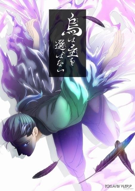 八咫烏シリーズ「烏に単は似合わない」文春文庫１０冊セット　異世界ファンタジー 八咫烏シリーズ「烏に単は似合わない」文春文庫10冊セット 異