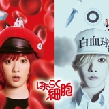 【実写映画「はたらく細胞」】永野芽郁が赤血球、佐藤健は白血球 「半分、青い。」以来の共演