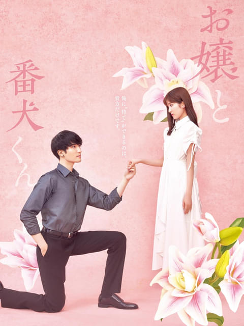 福本莉子×ジェシー共演の実写映画「お嬢と番犬くん」思いが交差