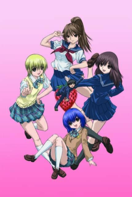 アニメ いちご100％ オリジナルストーリー 全巻セット アニメ いちご100％ オリジナルストーリー 全巻セット