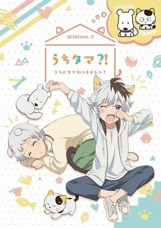 うちタマ?! ~うちのタマ知りませんか?~