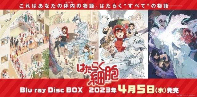 はたらく細胞」のすべてが詰まったBD-BOXが4月に発売 第1～2期＆特別 