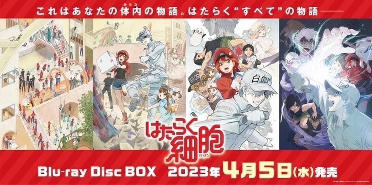 はたらく細胞 Blu-ray全7巻 - アニメ