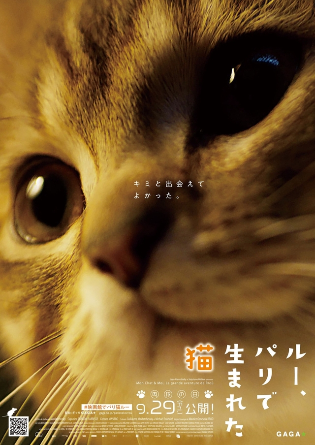ナレーションは、猫好きとしても知られる俳優・田中要次
