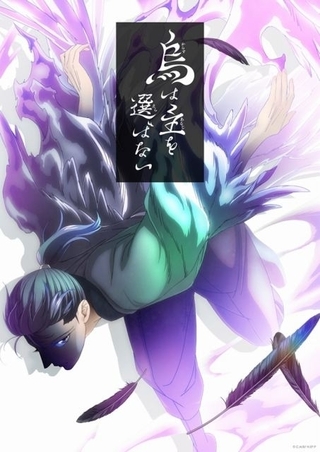 和風大河ファンタジー小説「八咫烏シリーズ」TVアニメ化 「烏は主を選ばない」が24年4月放送