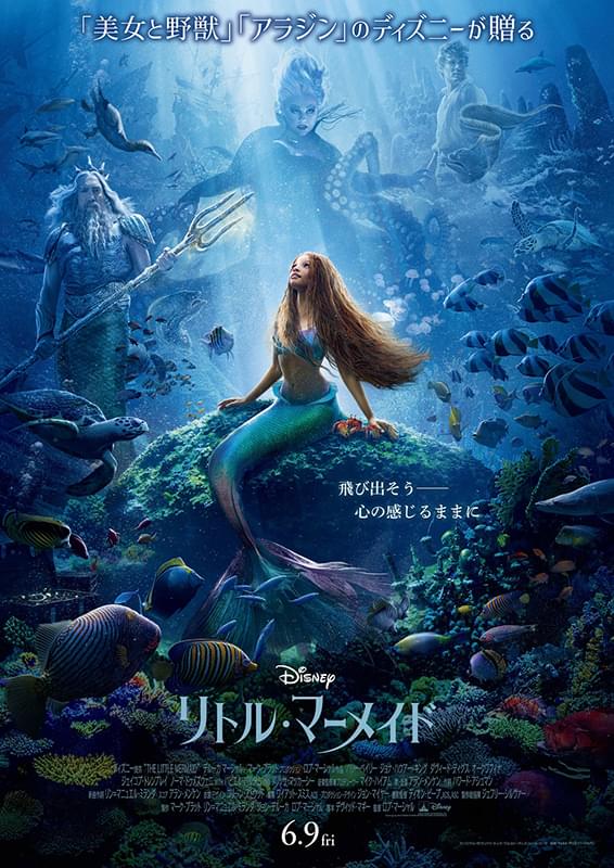 ディズニー実写版 ５作品セット - 洋画・外国映画