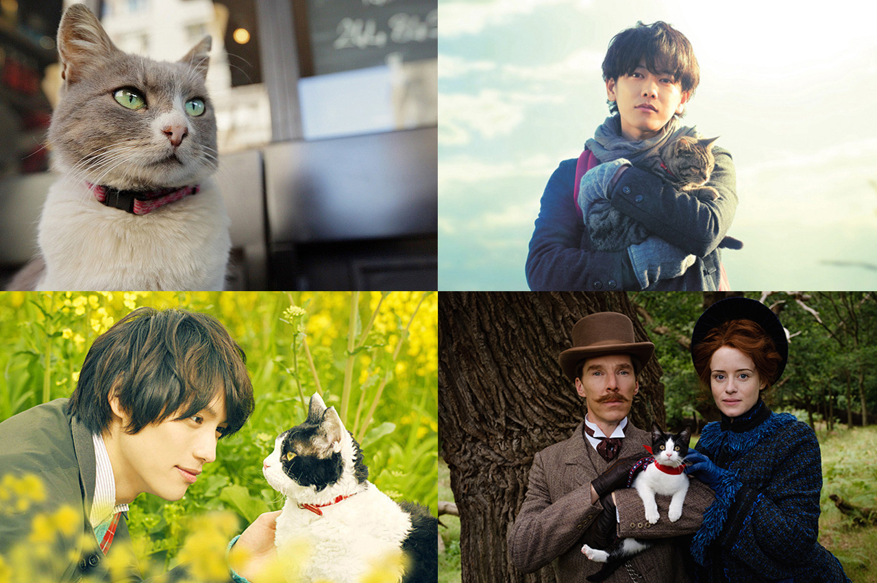 【2月22日は猫の日】あなたの好きな“猫映画”を教えて！　映画.comユーザーが教えてくれた“50本の猫映画”