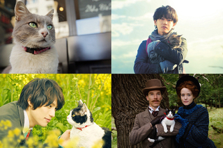 【2月22日は猫の日】あなたの好きな“猫映画”を教えて！ 映画.comユーザーが教えてくれた“50本の猫映画”