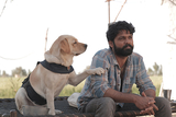 南インドからヒマラヤへ 孤独な男とやんちゃなラブラドール犬の人生再出発ロードムービー「チャーリー」6月28公開