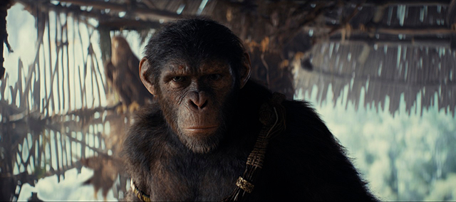 “猿”の動きや表情はパフォーマンス・キャプチャーで撮影
