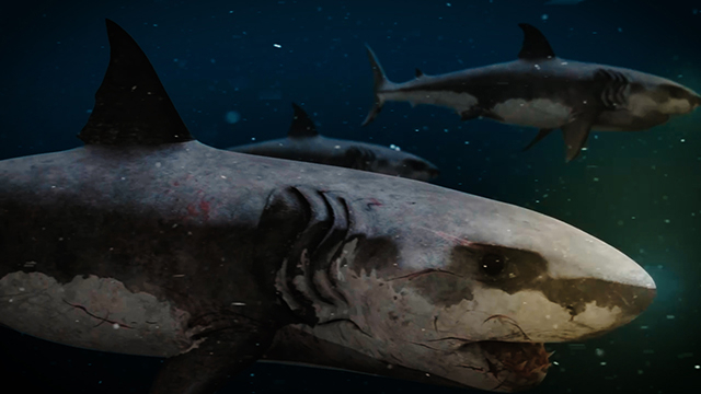 【SNSで大バズり！】「温泉シャーク」サメに襲われる人間たちをとらえた場面写真＆クセ強めなキャラクター写真披露 - 画像10