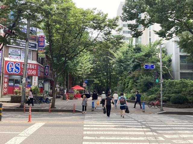 緑豊かな公園も広がる映画祭会場付近