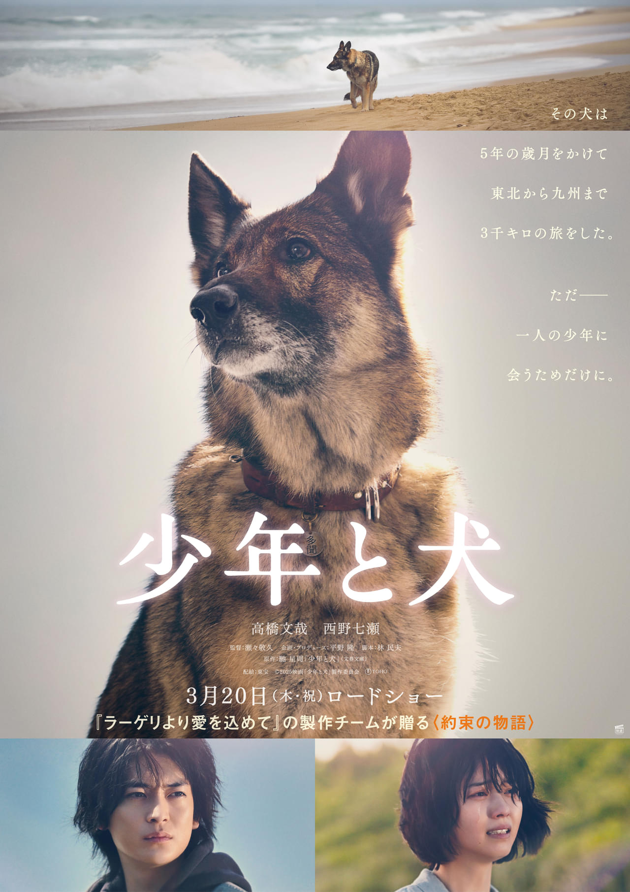 約束を果たすため旅をする1匹の犬が起こした奇跡の物語 高橋文哉＆西野七瀬主演「少年と犬」特報公開