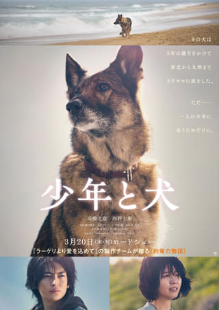 約束を果たすため旅をする1匹の犬が起こした奇跡の物語 高橋文哉＆西野七瀬主演「少年と犬」特報公開