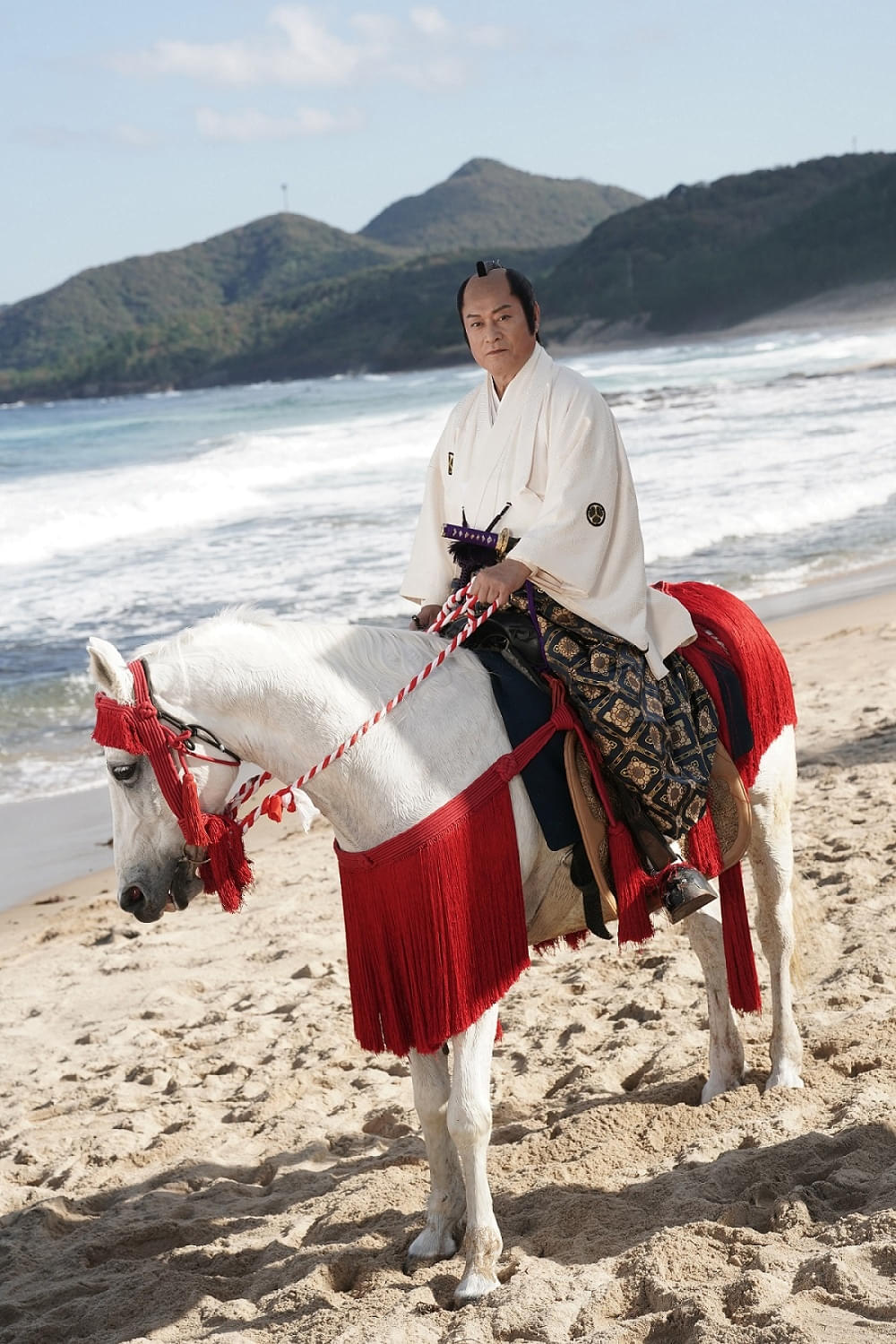 期間限定特別価格 松平健主演×三池崇史監督！「暴れん坊将軍」新年1月4日に“17年 その他