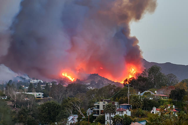 ロサンゼルス山火事、ハリウッドスターの住宅地を直撃