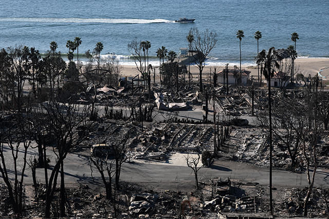 ハリウッドの映画界が結束、LA山火事に緊急支援表明