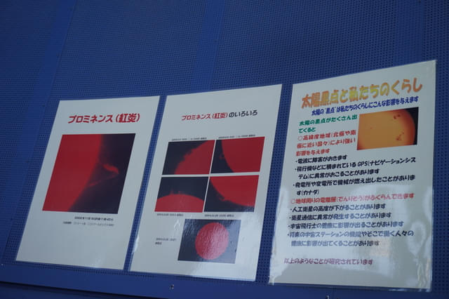 画像11