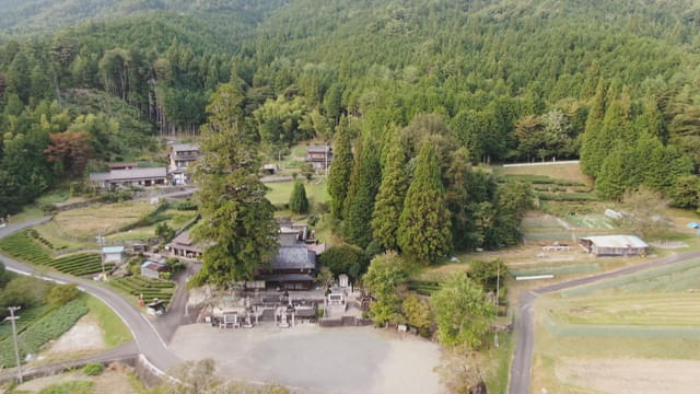 画像13
