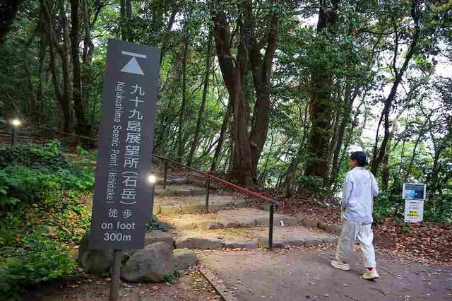 画像12