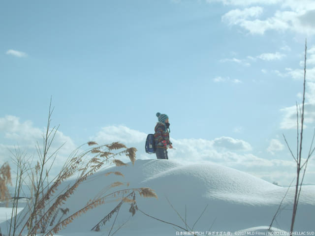 画像12