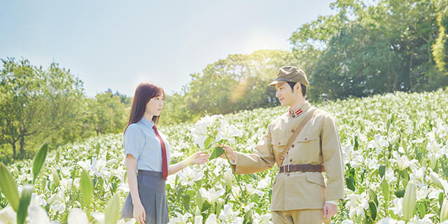 新品★あの花が咲く丘で、君とまた出会えたら。 豪華版 DVD　福原遥　水上恒司 あの花が咲く丘で、君とまた出会えたら。/福原遥,水上恒司[DVD