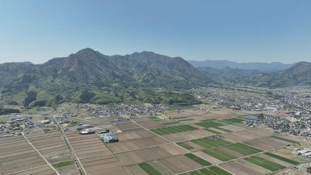 画像8