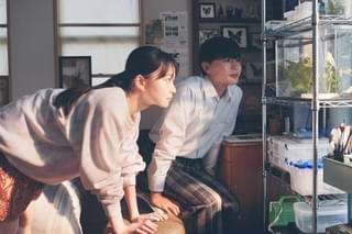 長尾謙杜×山田杏奈「恋に至る病」主題歌は「Saucy Dog」が担当 楽曲を使用した予告編完成