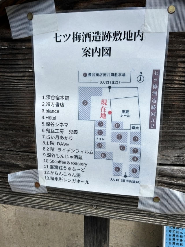 画像15