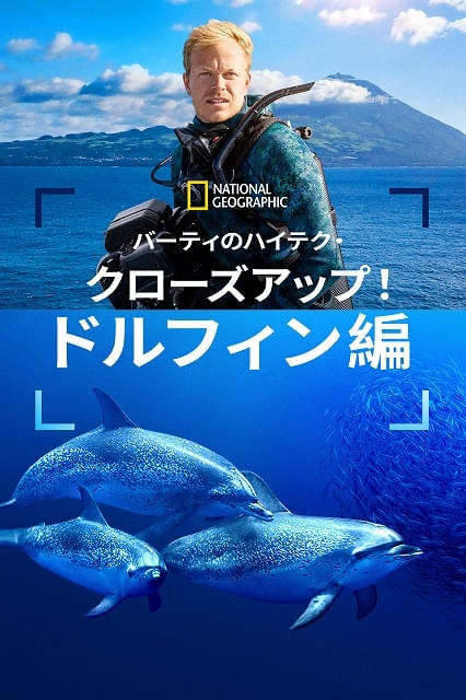 画像31