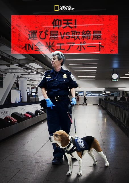 画像27