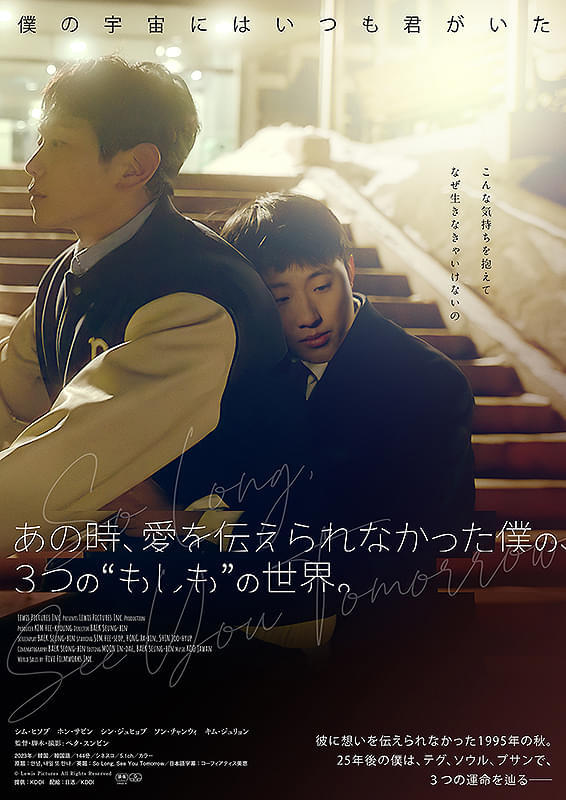 画像12
